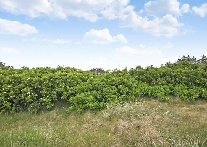 Lk1955-lokken-laurasvej-10